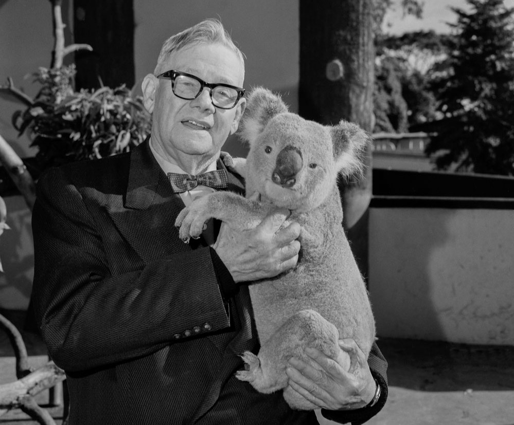 A photograph of Sir Edward Hallstrom holding a koala in the koala enclosure at Taronga Park Zoo in Sydney. Sir Edward wears a dark suit and holds the koala on his right arm. 